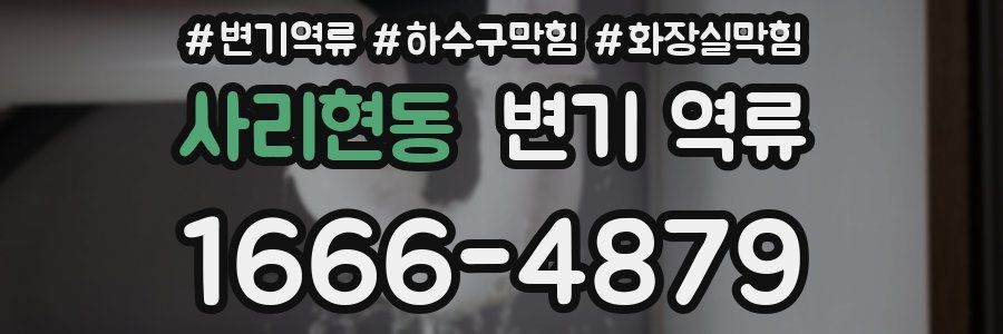 사리현동 변기 역류