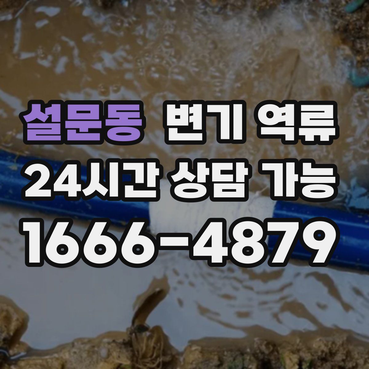 설문동 변기 역류