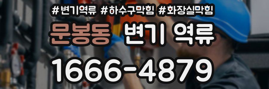 문봉동 변기 역류