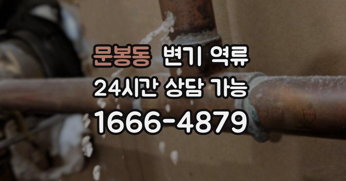 문봉동 변기 역류