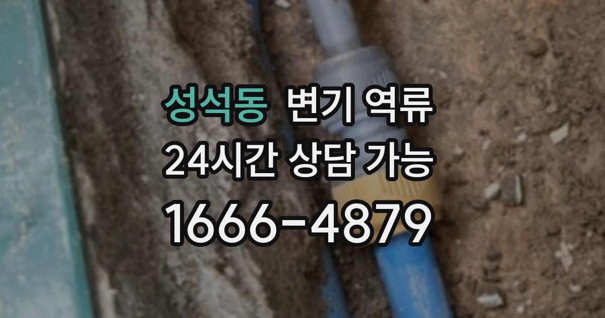 성석동 변기 역류