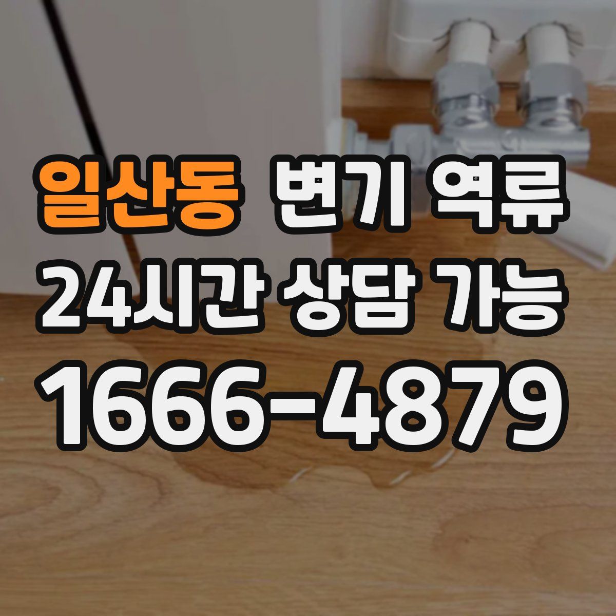 일산동 변기 역류