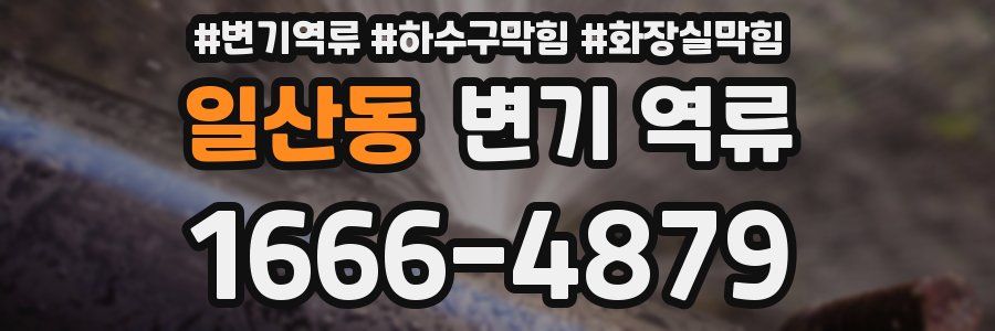 일산동 변기 역류