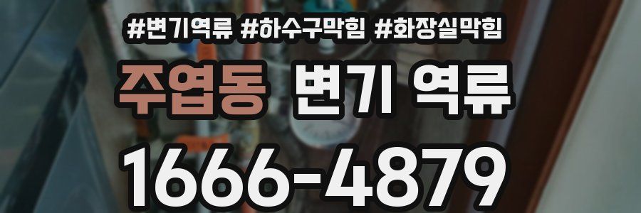 주엽동 변기 역류