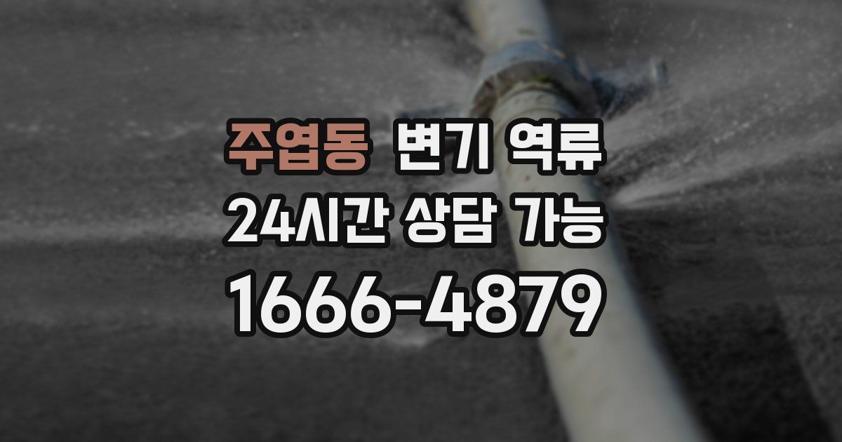 주엽동 변기 역류