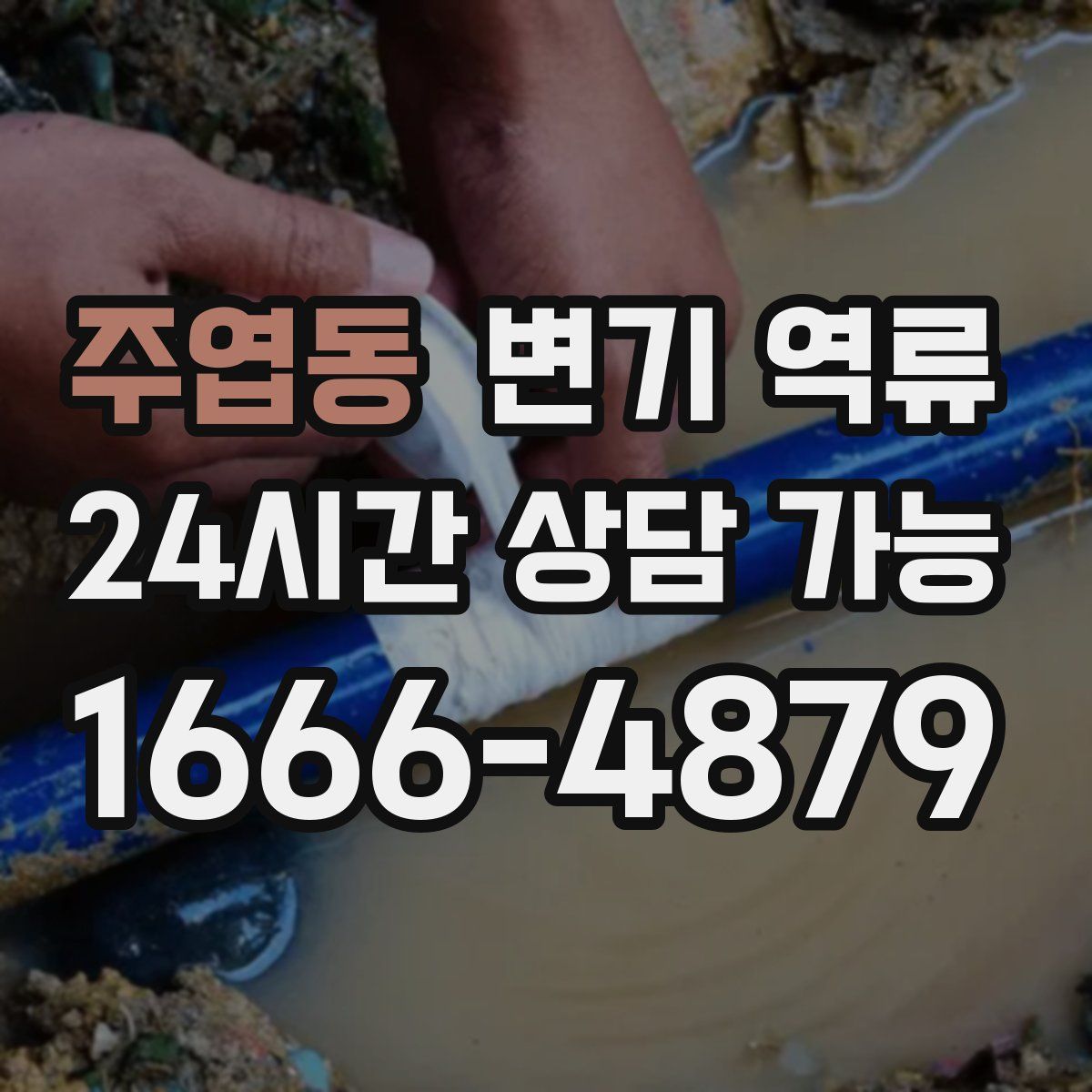 주엽동 변기 역류