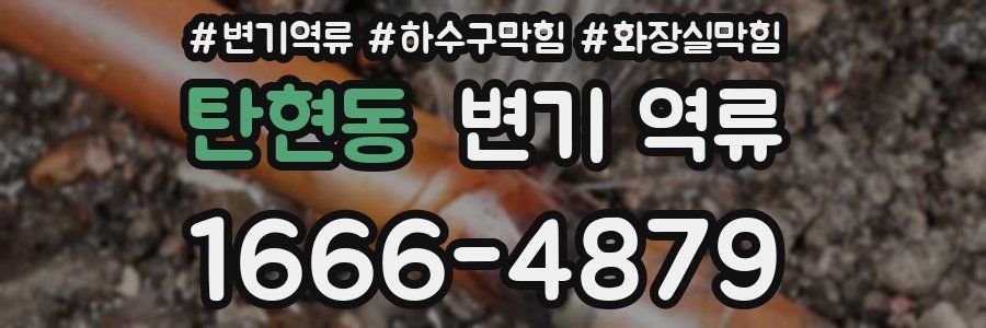 탄현동 변기 역류