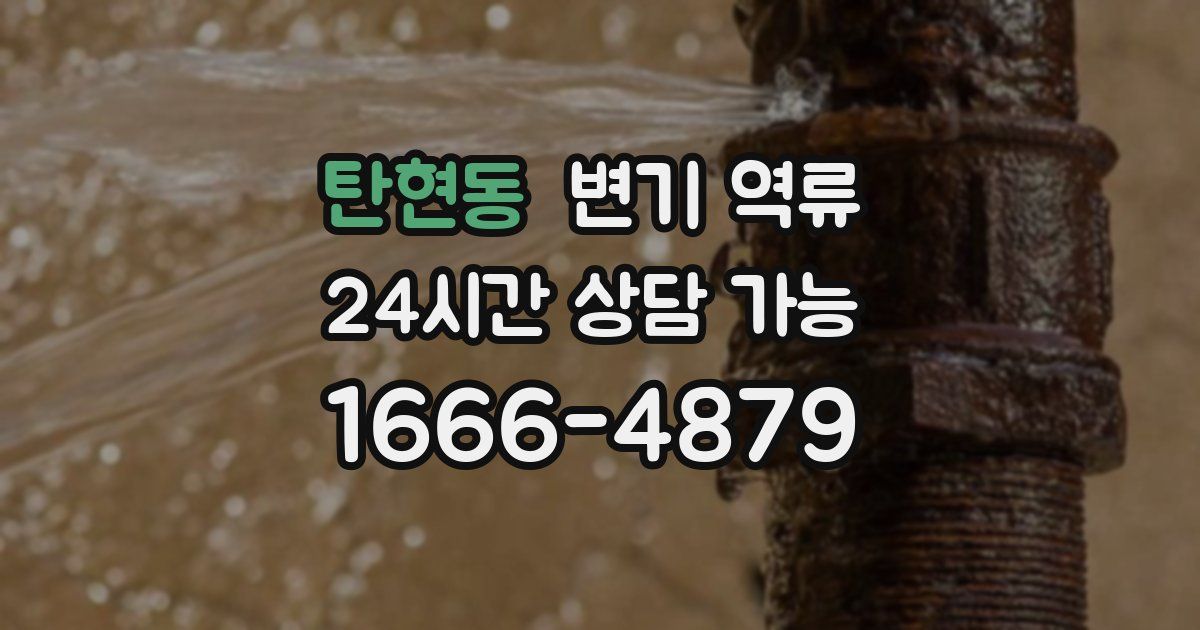 탄현동 변기 역류