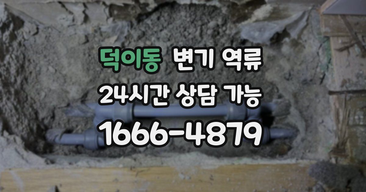 덕이동 변기 역류