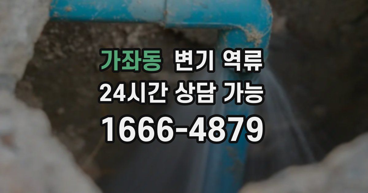 가좌동 변기 역류