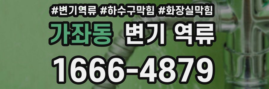 가좌동 변기 역류