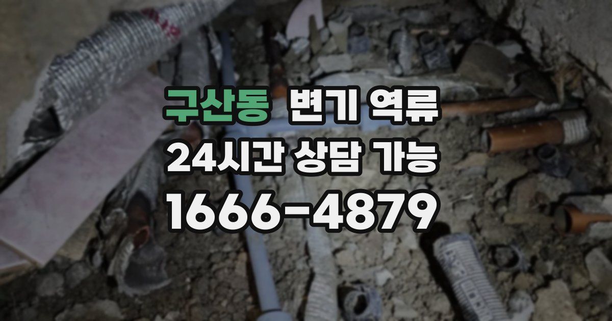 구산동 변기 역류