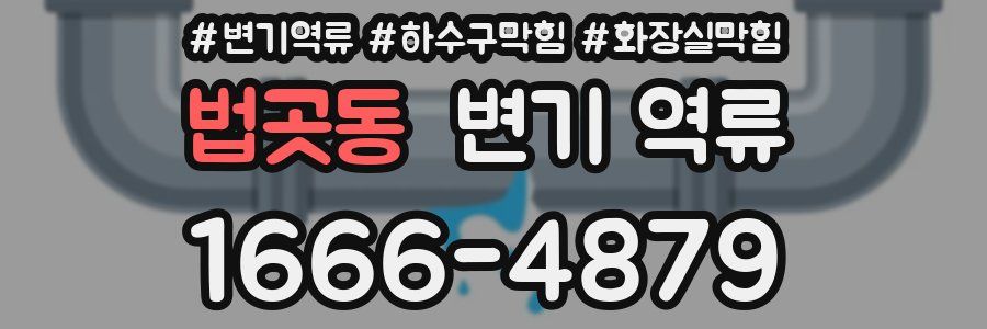 법곳동 변기 역류