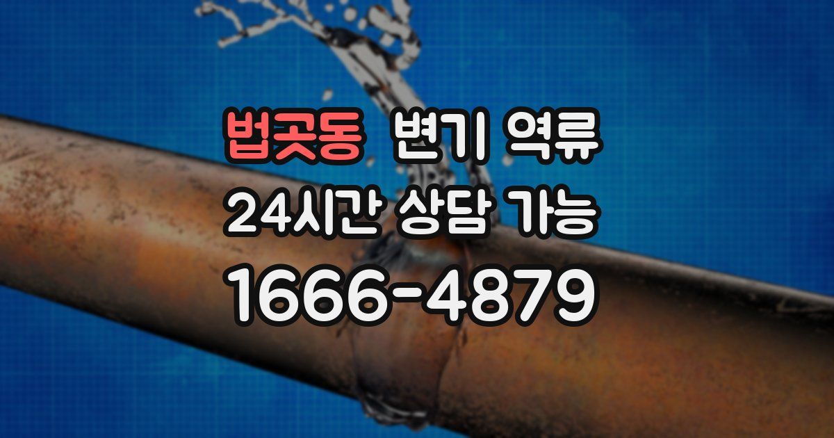 법곳동 변기 역류