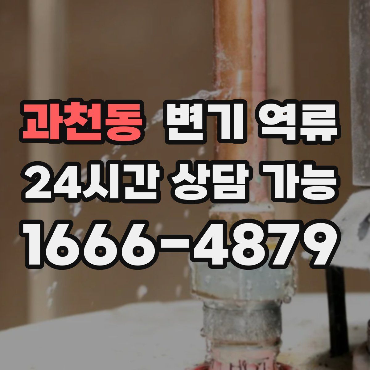 과천동 변기 역류