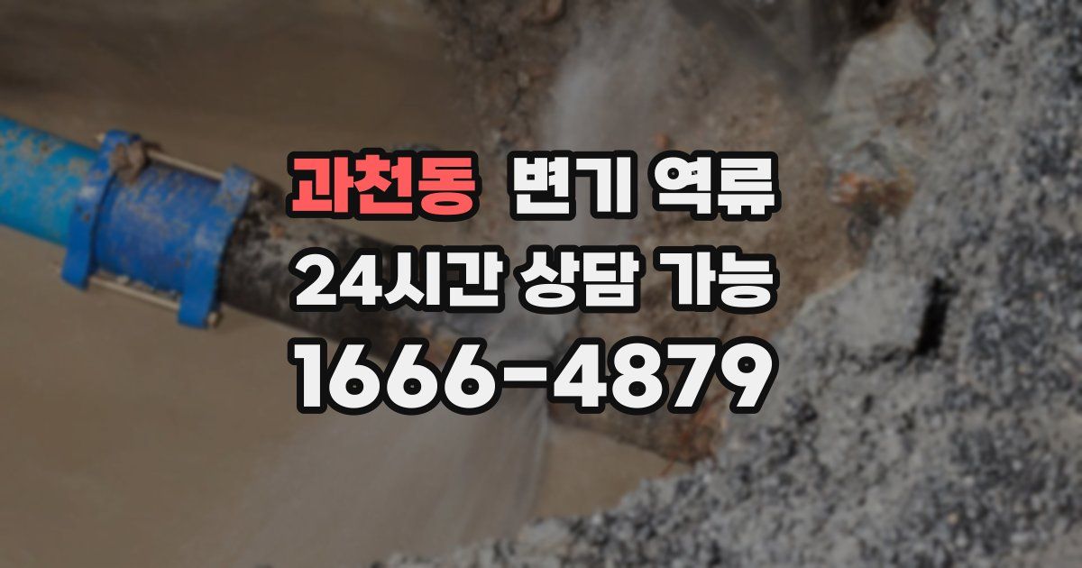 과천동 변기 역류