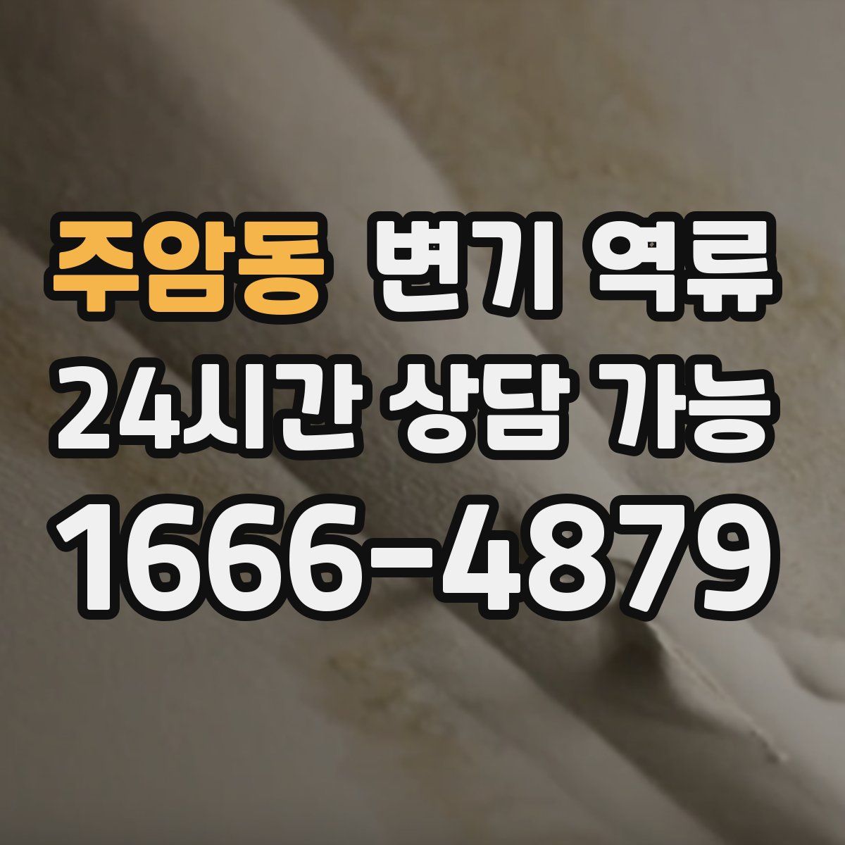 주암동 변기 역류