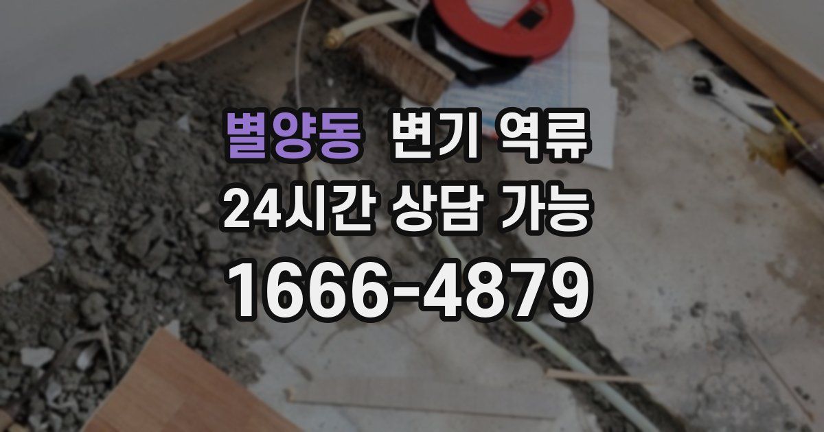 별양동 변기 역류