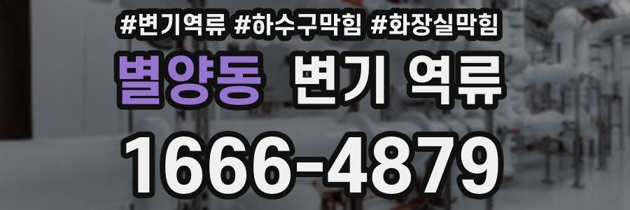 별양동 변기 역류