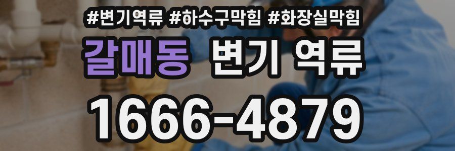 갈매동 변기 역류