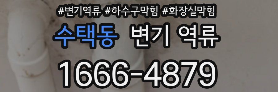 수택동 변기 역류