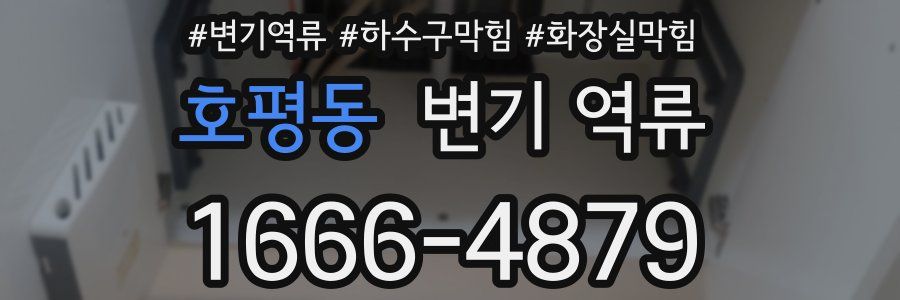 호평동 변기 역류