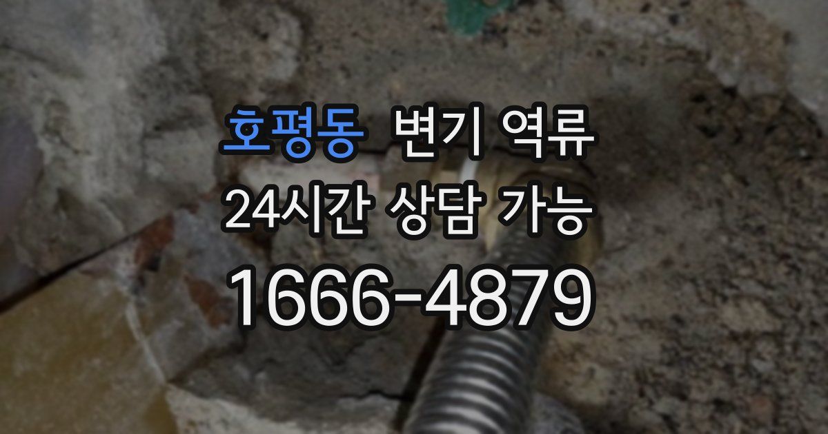 호평동 변기 역류
