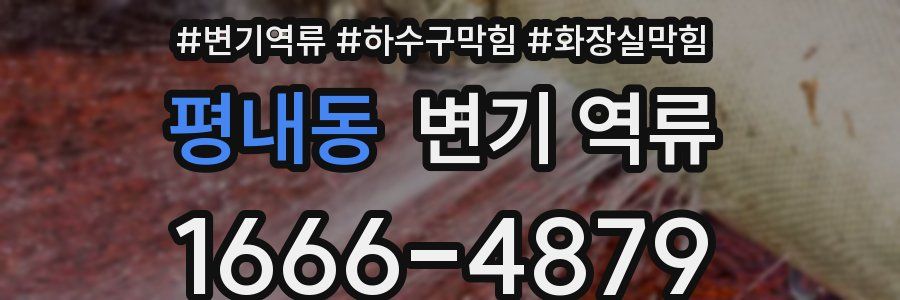 평내동 변기 역류