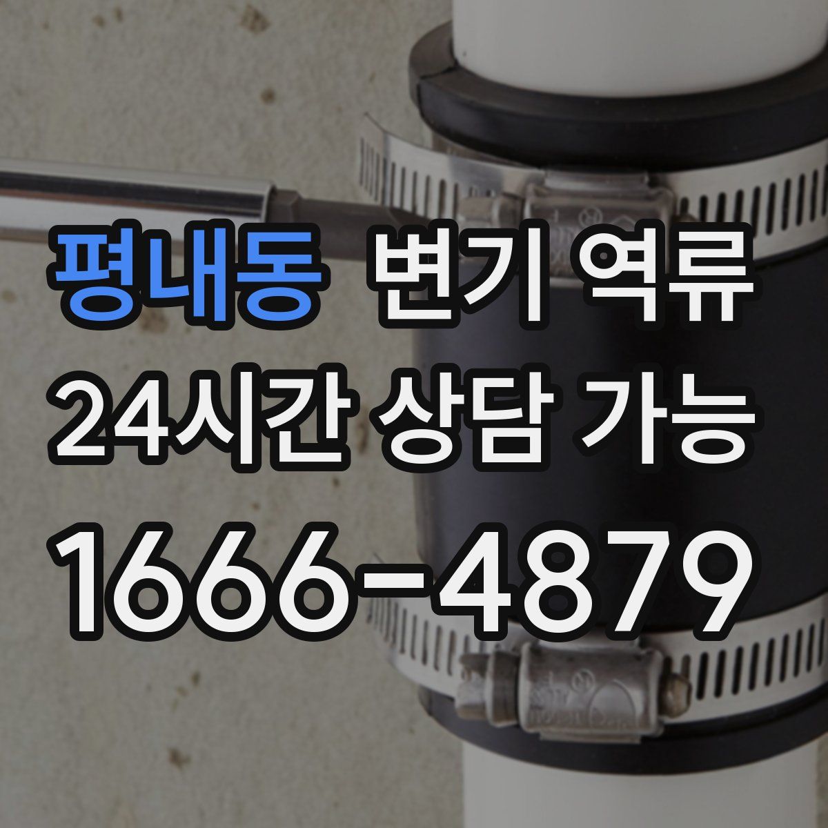 평내동 변기 역류