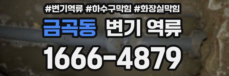 금곡동 변기 역류