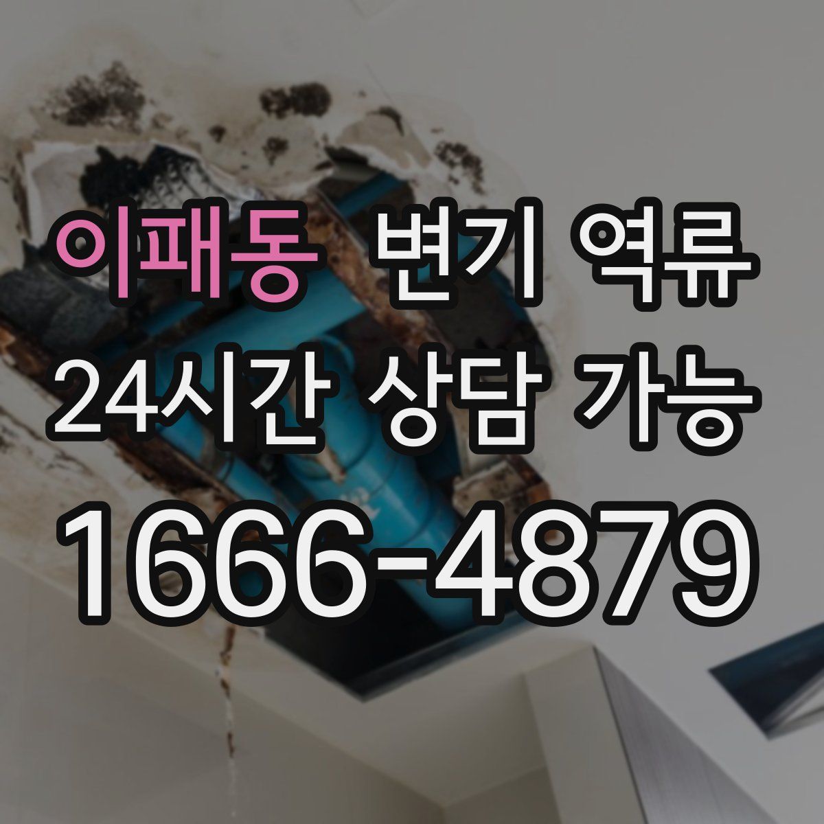 이패동 변기 역류