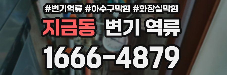 지금동 변기 역류