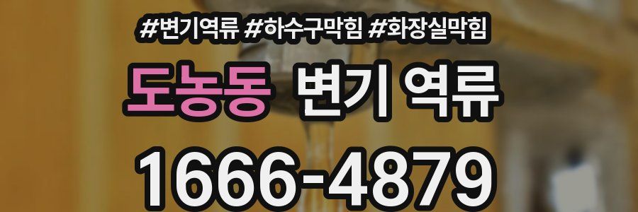 도농동 변기 역류