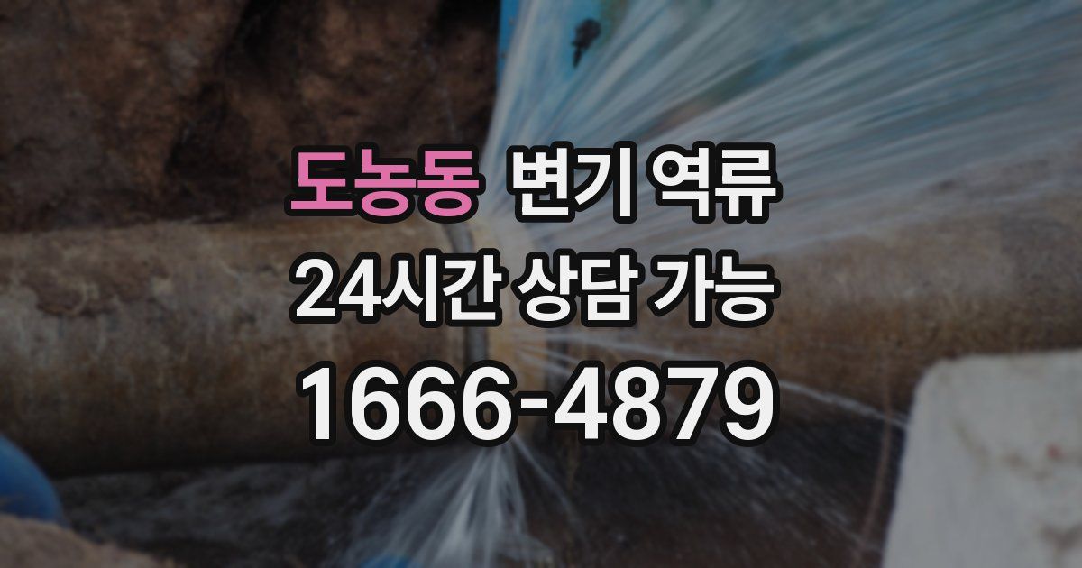 도농동 변기 역류