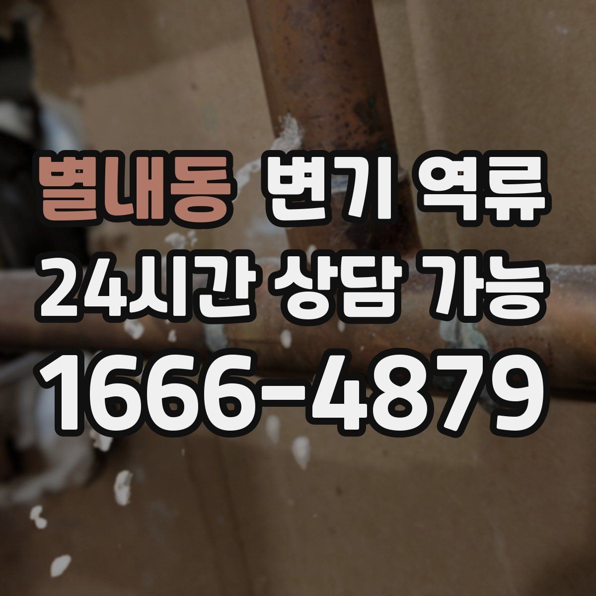 별내동 변기 역류 정기 점검이 필요한 집의 특징