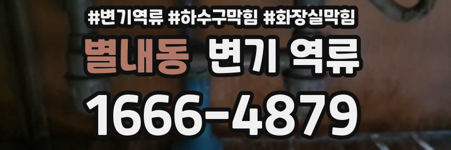 별내동 변기 역류