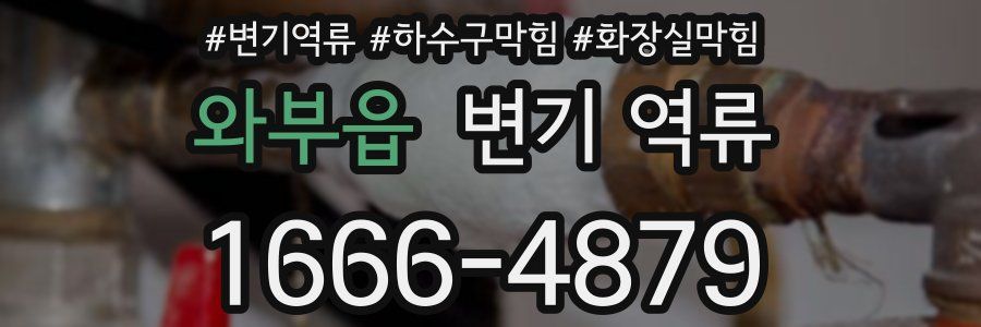 와부읍 변기 역류