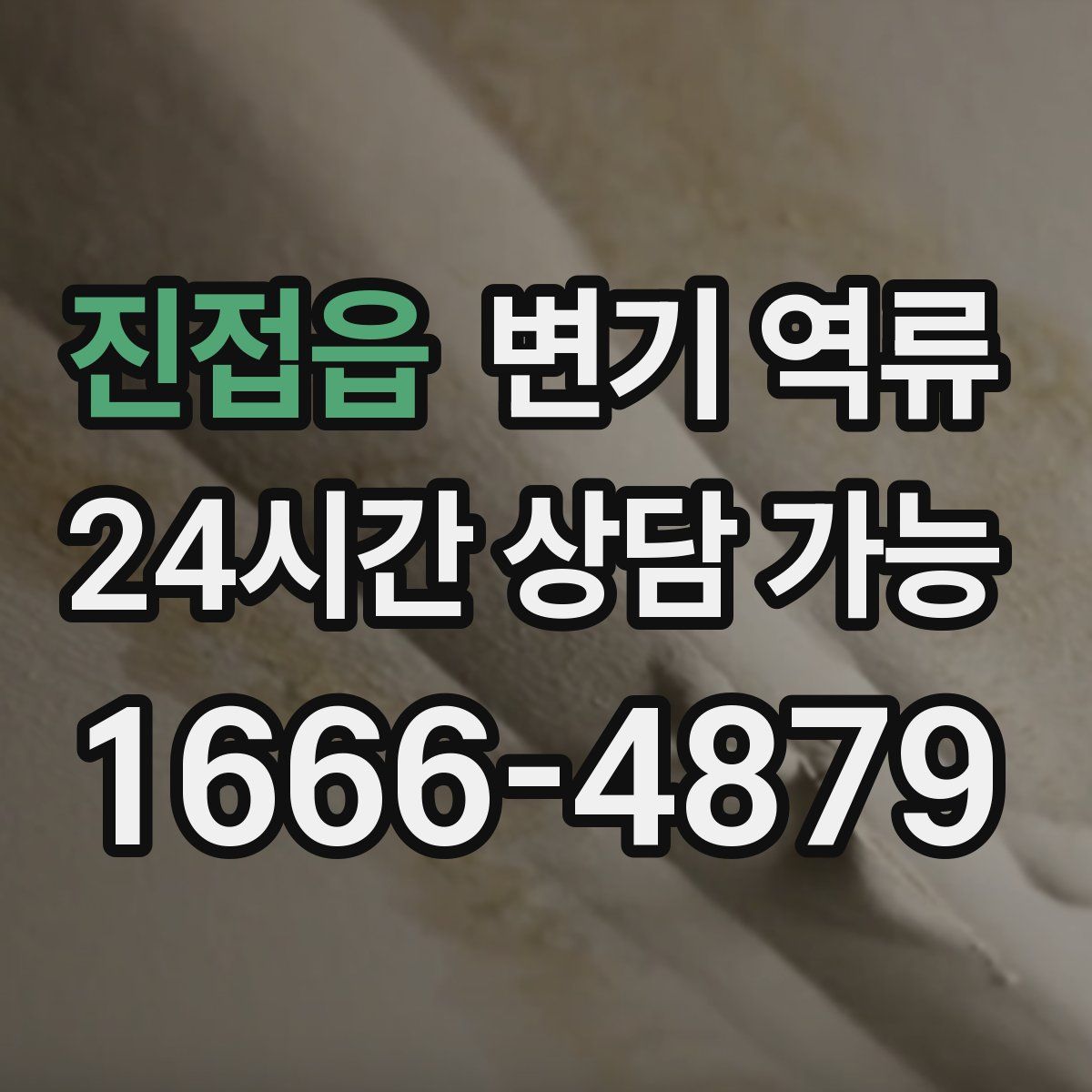 진접읍 변기 역류