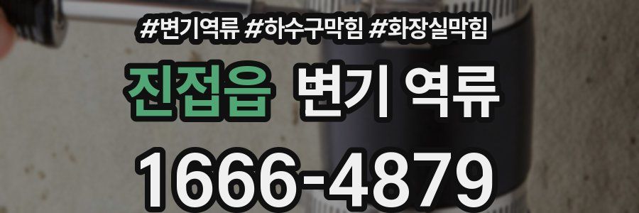 진접읍 변기 역류