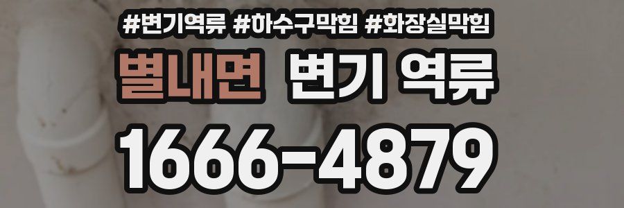 별내면 변기 역류