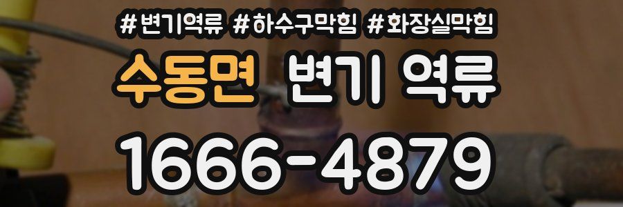 수동면 변기 역류