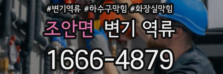 조안면 변기 역류