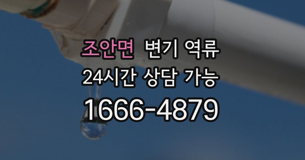 조안면 변기 역류