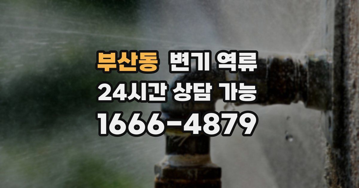 부산동 변기 역류