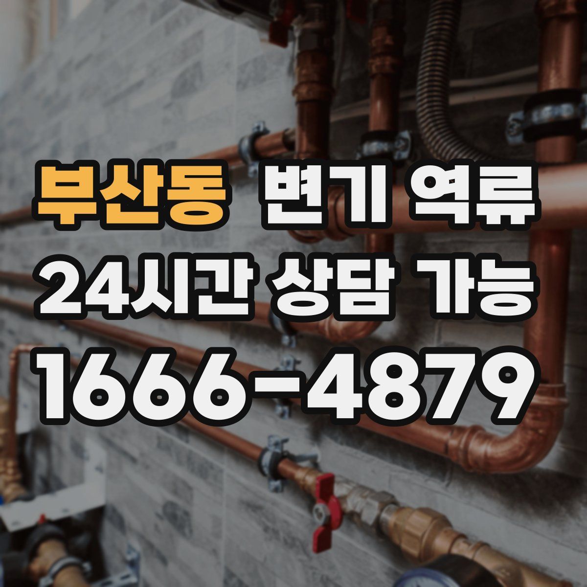 부산동 변기 역류