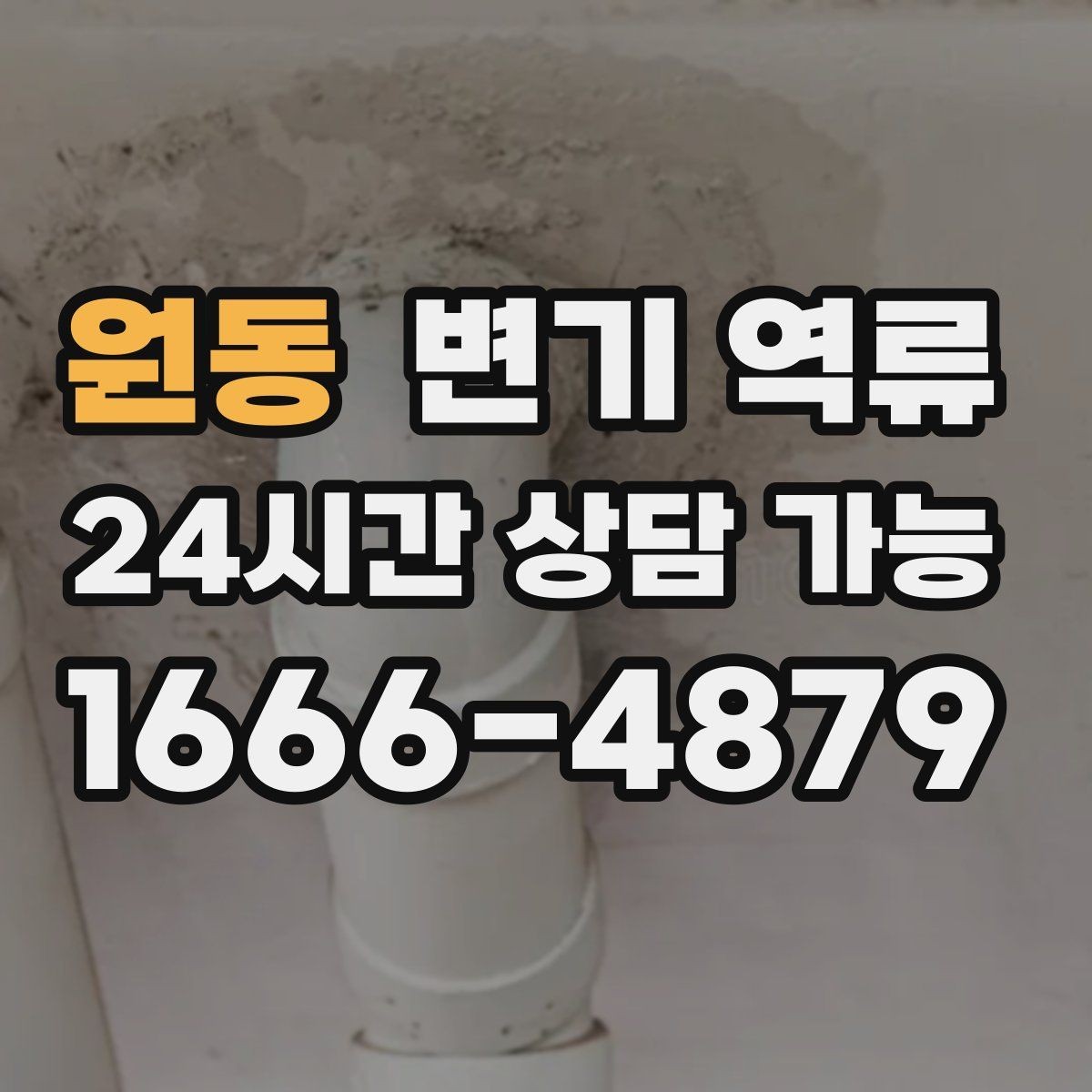 원동 변기 역류 단순 막힘과 배관 역류를 구분하는 방법