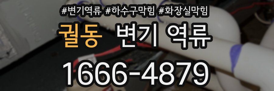 궐동 변기 역류