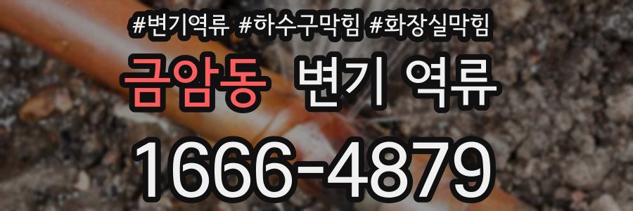 금암동 변기 역류