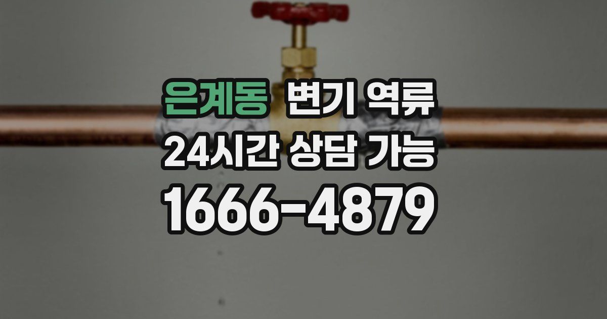 은계동 변기 역류