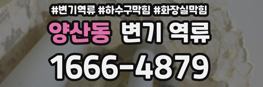 양산동 변기 역류